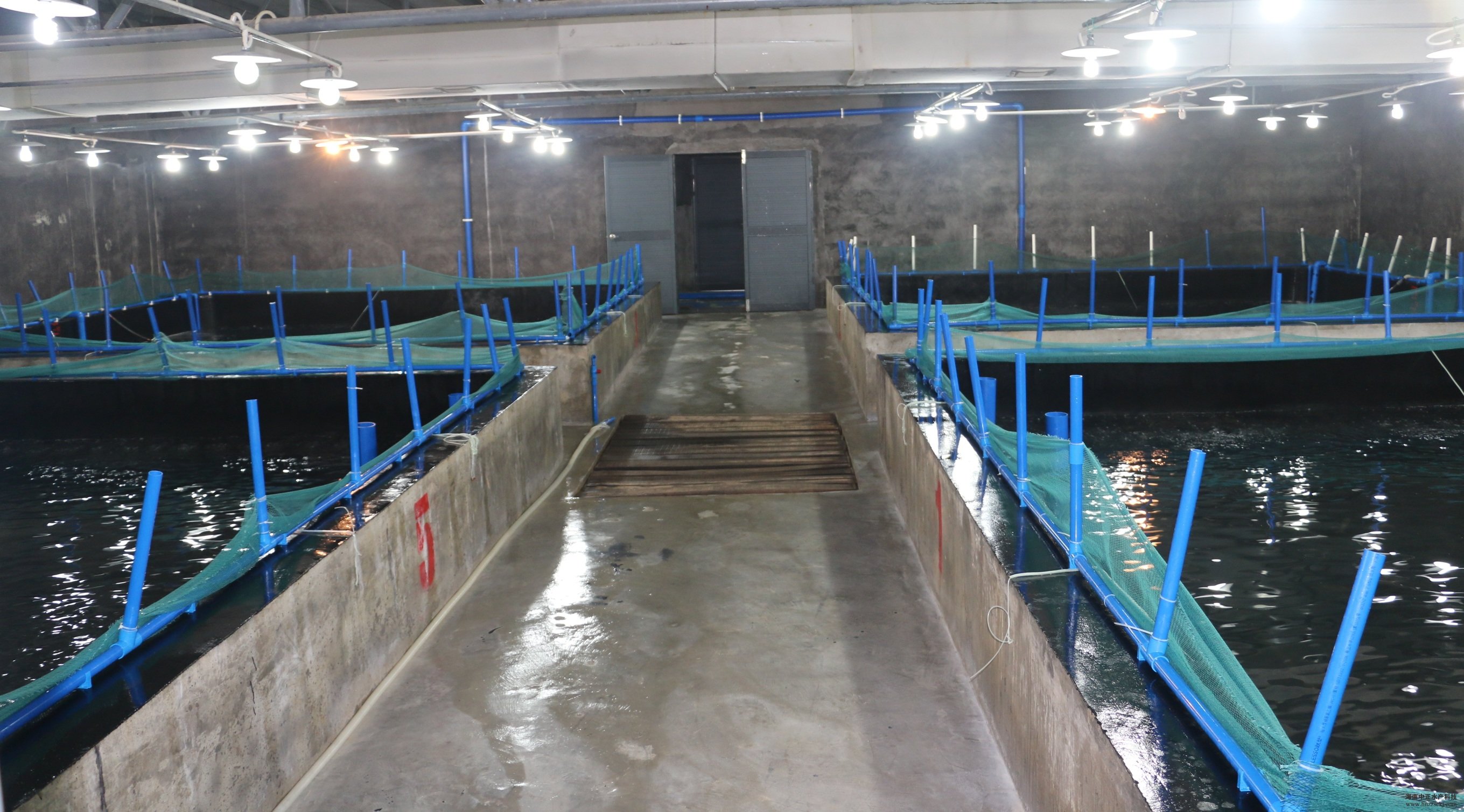 (bio)(zhn)ĸr܇(ch)g